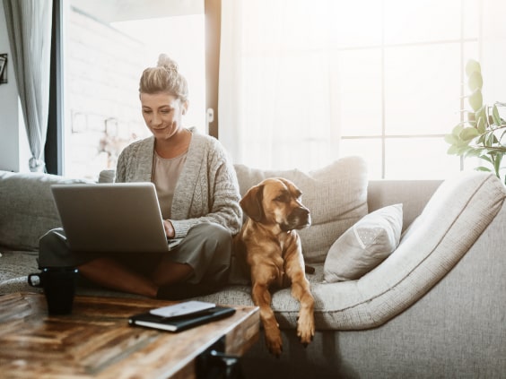 Frau sitzt auf der Couch mit einem Laptop und ihrem Hund.