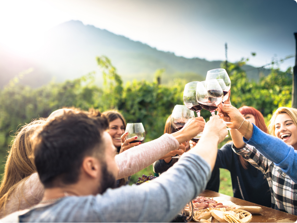 Gruppe von Menschen, die im Freien mit Weingläsern anstoßen, im Hintergrund Hügel und Vegetation