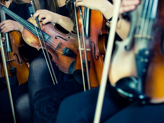 Eine Gruppe von Geigen Spielern sitzen nebeneinander.