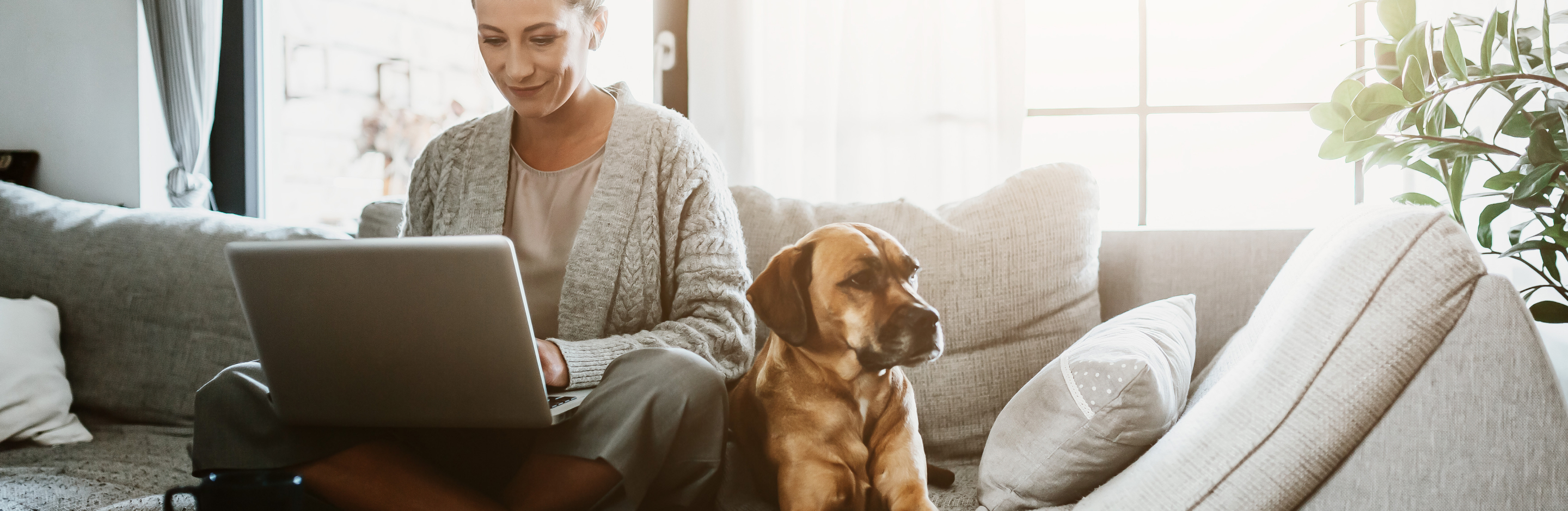 Frau sitzt auf mit Laptop und Hund